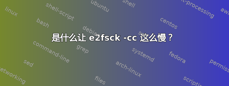 是什么让 e2fsck -cc 这么慢？