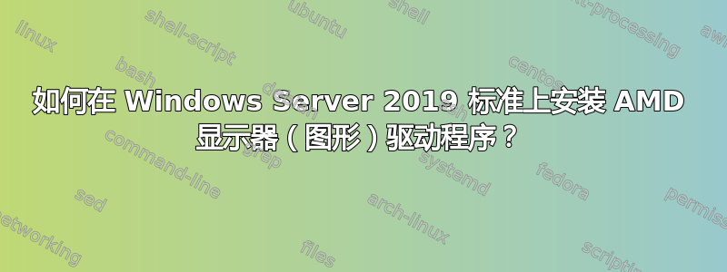 如何在 Windows Server 2019 标准上安装 AMD 显示器（图形）驱动程序？