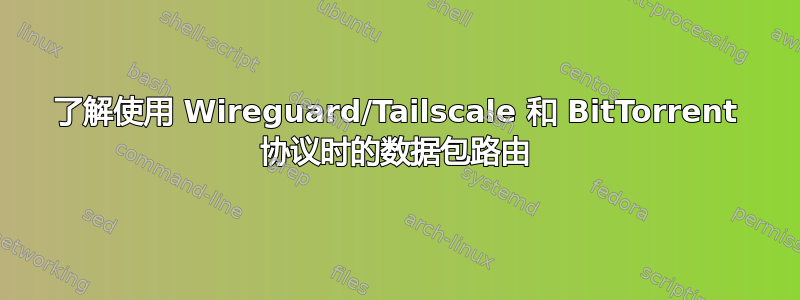 了解使用 Wireguard/Tailscale 和 BitTorrent 协议时的数据包路由