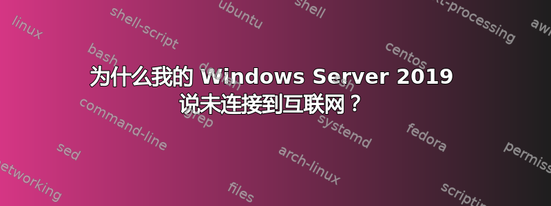 为什么我的 Windows Server 2019 说未连接到互联网？