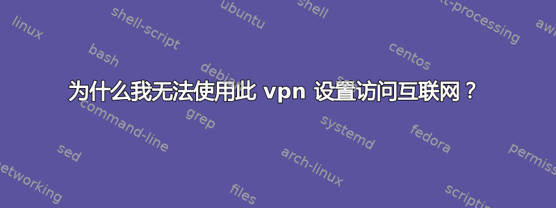 为什么我无法使用此 vpn 设置访问互联网？