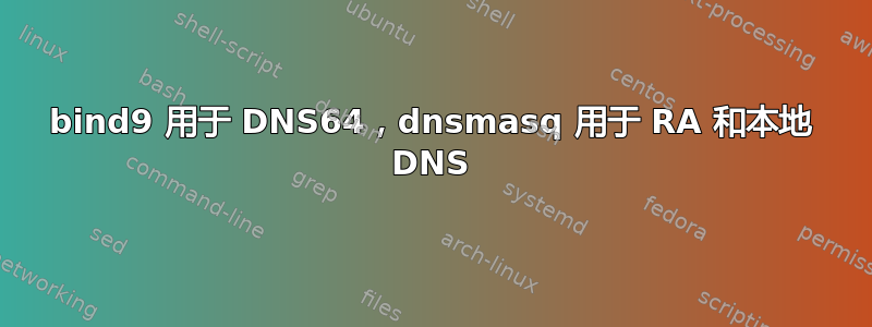 bind9 用于 DNS64，dnsmasq 用于 RA 和本地 DNS