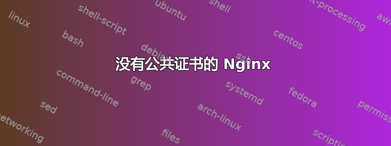 没有公共证书的 Nginx