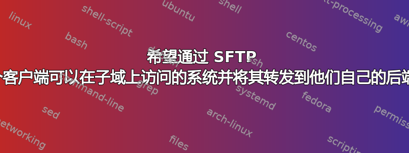 希望通过 SFTP 找到一个客户端可以在子域上访问的系统并将其转发到他们自己的后端服务器