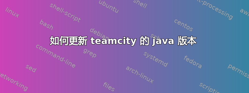 如何更新 teamcity 的 java 版本