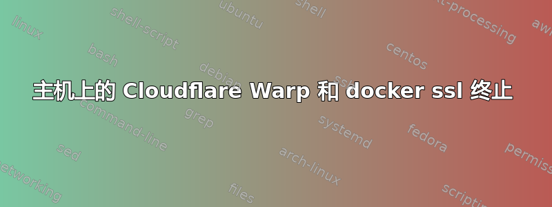 主机上的 Cloudflare Warp 和 docker ssl 终止