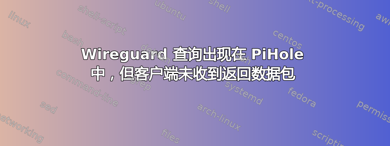 Wireguard 查询出现在 PiHole 中，但客户端未收到返回数据包