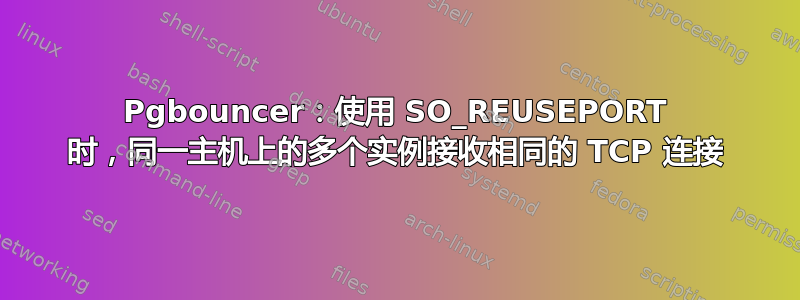 Pgbouncer：使用 SO_REUSEPORT 时，同一主机上的多个实例接收相同的 TCP 连接