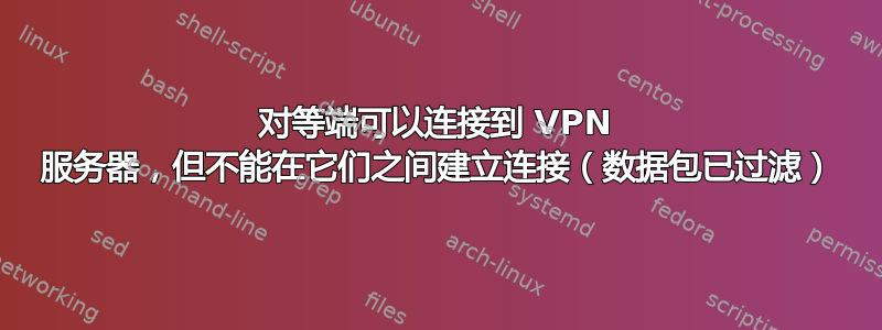 对等端可以连接到 VPN 服务器，但不能在它们之间建立连接（数据包已过滤）