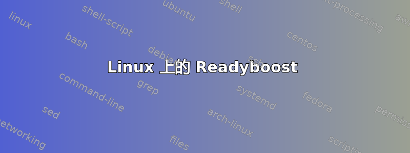 Linux 上的 Readyboost