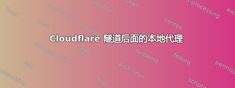 Cloudflare 隧道后面的本地代理