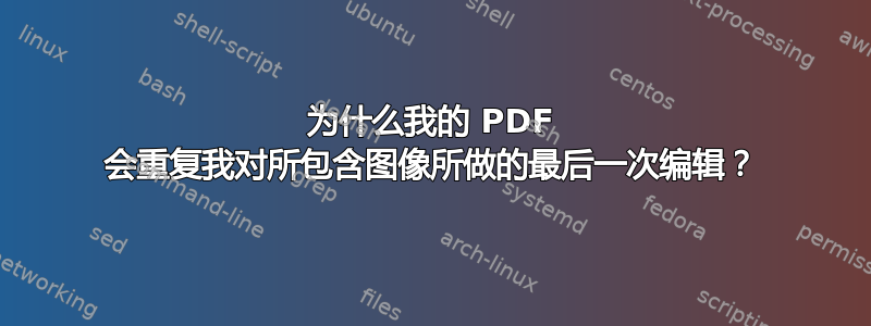 为什么我的 PDF 会重复我对所包含图像所做的最后一次编辑？