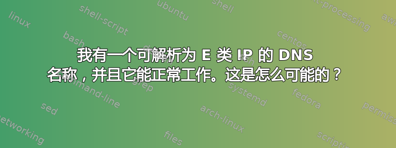 我有一个可解析为 E 类 IP 的 DNS 名称，并且它能正常工作。这是怎么可能的？