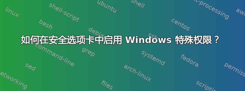 如何在安全选项卡中启用 Windows 特殊权限？