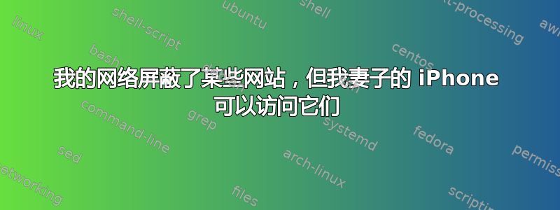 我的网络屏蔽了某些网站，但我妻子的 iPhone 可以访问它们