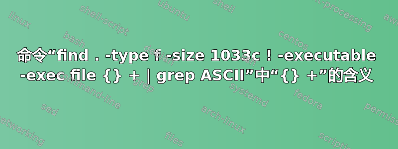 命令“find . -type f -size 1033c ! -executable -exec file {} + | grep ASCII”中“{} +”的含义