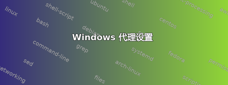 Windows 代理设置