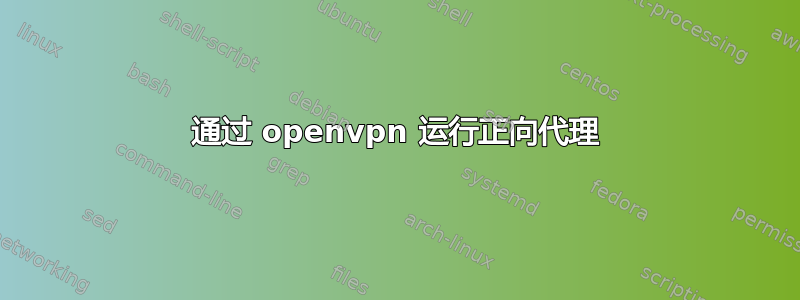 通过 openvpn 运行正向代理