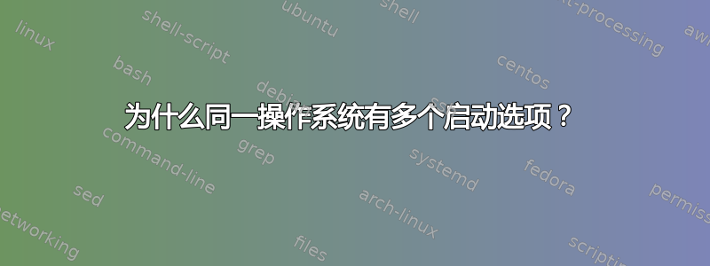 为什么同一操作系统有多个启动选项？