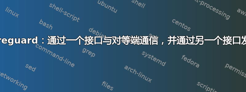 Wireguard：通过一个接口与对等端通信，并通过另一个接口发送