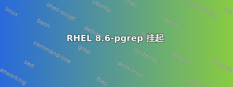 RHEL 8.6-pgrep 挂起