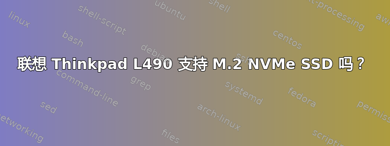 联想 Thinkpad L490 支持 M.2 NVMe SSD 吗？