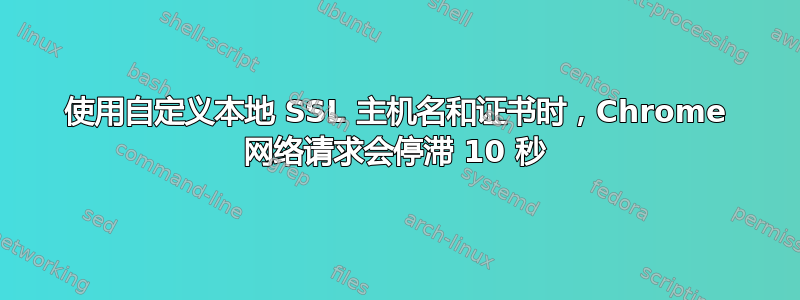 使用自定义本地 SSL 主机名和证书时，Chrome 网络请求会停滞 10 秒