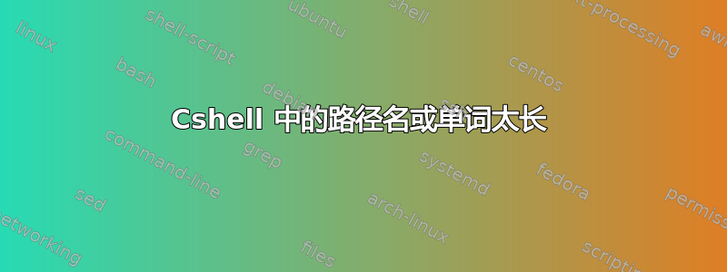 Cshell 中的路径名或单词太长