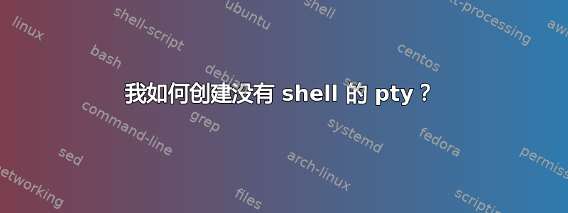 我如何创建没有 shell 的 pty？