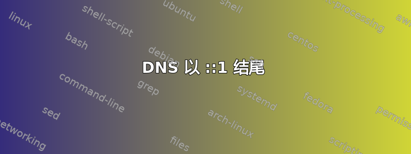 DNS 以 ::1 结尾