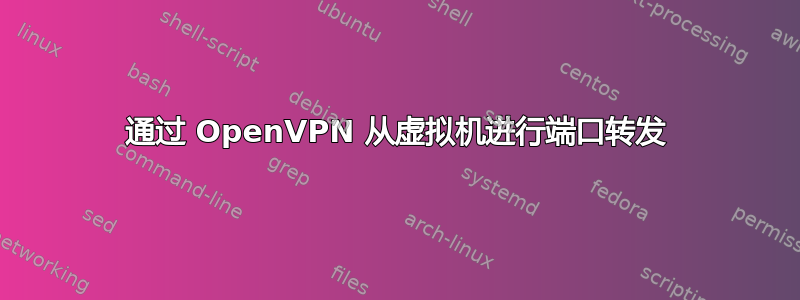 通过 OpenVPN 从虚拟机进行端口转发