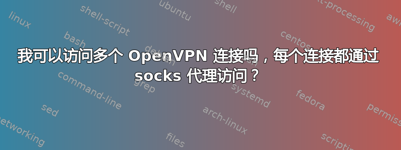 我可以访问多个 OpenVPN 连接吗，每个连接都通过 socks 代理访问？