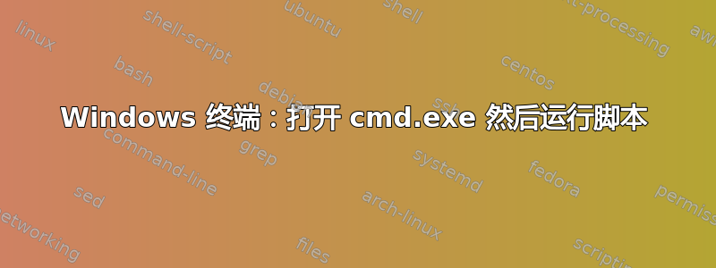 Windows 终端：打开 cmd.exe 然后运行脚本