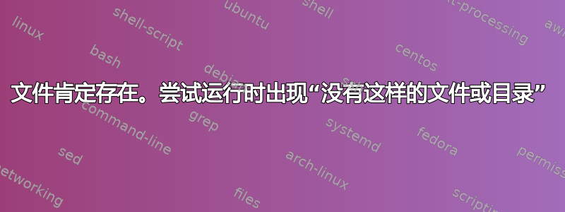 文件肯定存在。尝试运行时出现“没有这样的文件或目录”