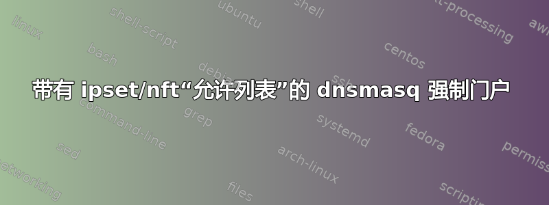 带有 ipset/nft“允许列表”的 dnsmasq 强制门户