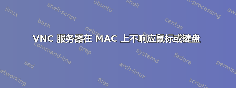 VNC 服务器在 MAC 上不响应鼠标或键盘