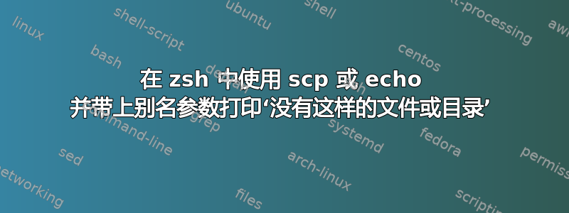 在 zsh 中使用 scp 或 echo 并带上别名参数打印‘没有这样的文件或目录’