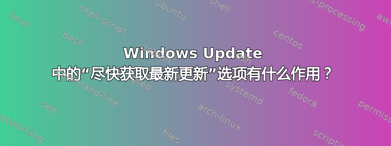 Windows Update 中的“尽快获取最新更新”选项有什么作用？