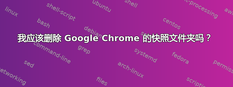 我应该删除 Google Chrome 的快照文件夹吗？