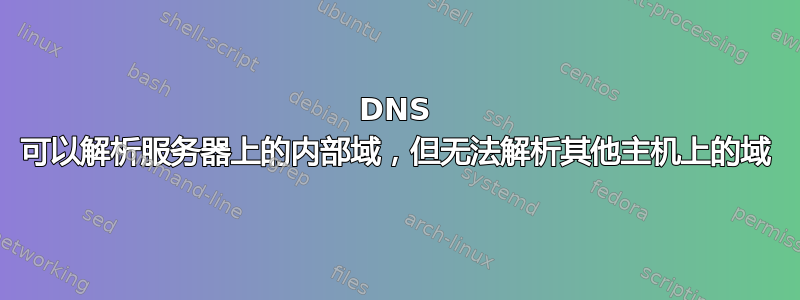 DNS 可以解析服务器上的内部域，但无法解析其他主机上的域