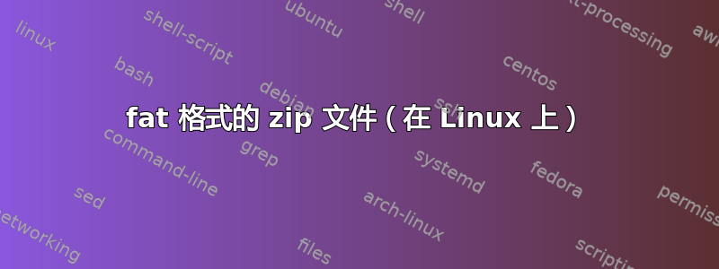 fat 格式的 zip 文件（在 Linux 上）