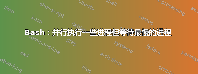 Bash：并行执行一些进程但等待最慢的进程