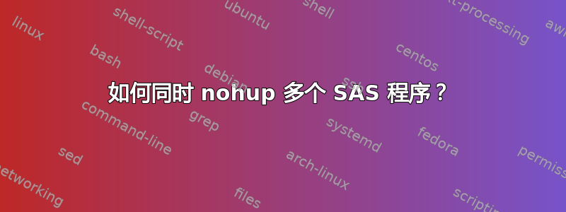 如何同时 nohup 多个 SAS 程序？