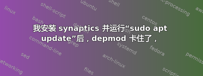 我安装 synaptics 并运行“sudo apt update”后，depmod 卡住了，