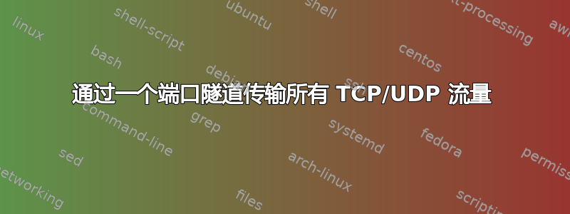 通过一个端口隧道传输所有 TCP/UDP 流量