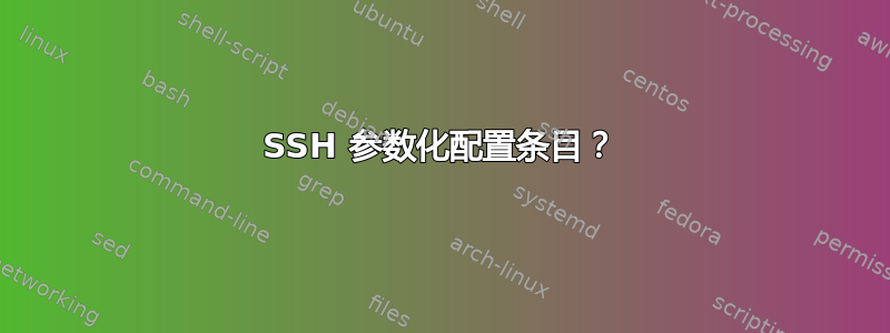 SSH 参数化配置条目？