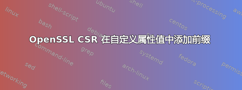 OpenSSL CSR 在自定义属性值中添加前缀