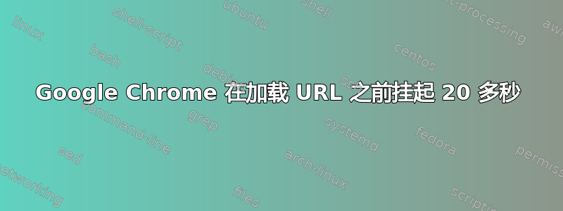 Google Chrome 在加载 URL 之前挂起 20 多秒