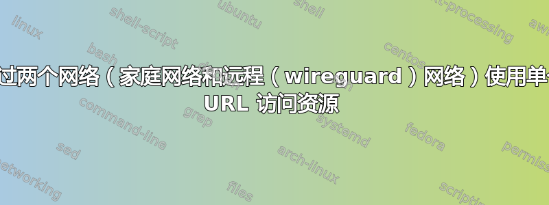 通过两个网络（家庭网络和远程（wireguard）网络）使用单个 URL 访问资源