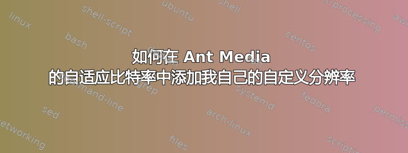 如何在 Ant Media 的自适应比特率中添加我自己的自定义分辨率